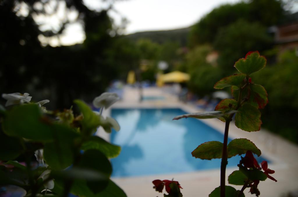 Atamer Doga Resort Gemlik Exterior foto
