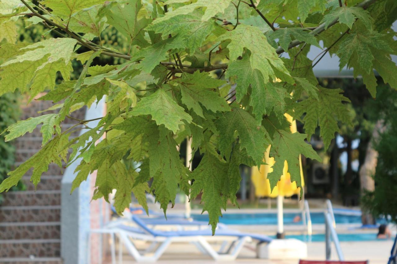 Atamer Doga Resort Gemlik Exterior foto